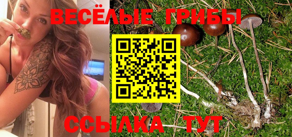 сколько стоит  Псилоцибиновые грибы Psilocybe  Вход с VPN  Псилоцибиновые грибы ЛСД  Анапа 