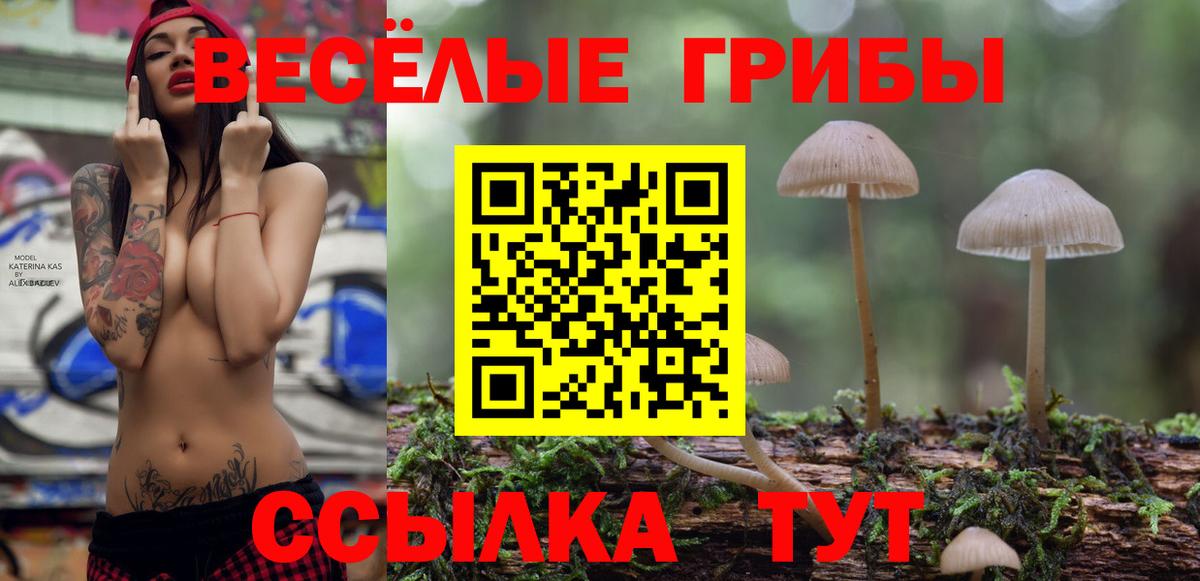 Псилоцибиновые грибы прущие грибы Анапа
